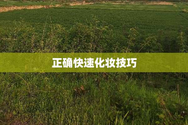 正确快速化妆技巧