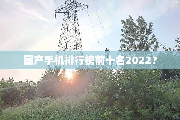 国产手机排行榜前十名2022？