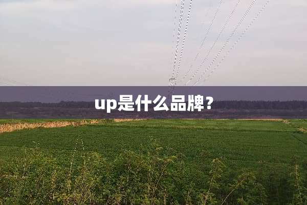 up是什么品牌？