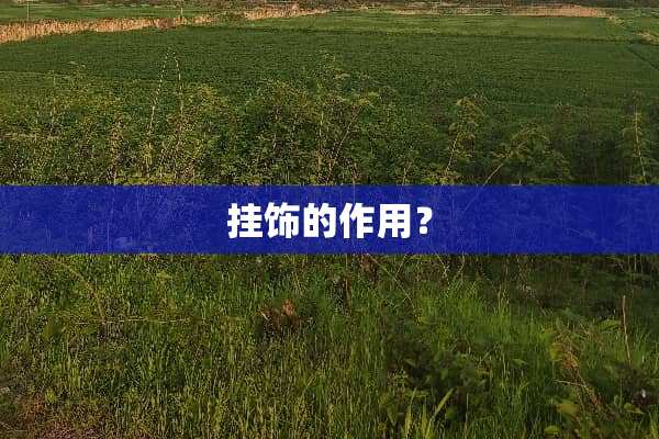 挂饰的作用？