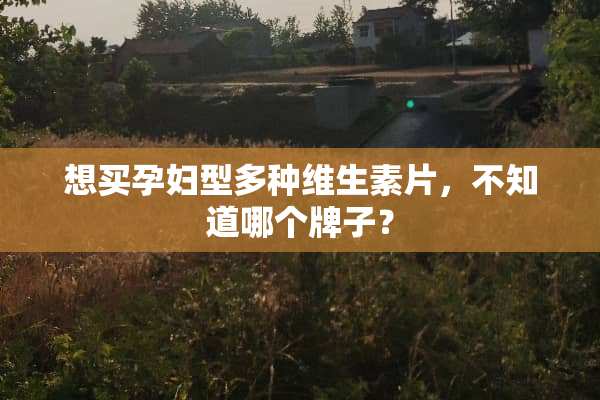 想买孕妇型多种维生素片，不知道哪个牌子？