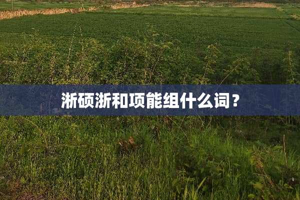 淅硕浙和项能组什么词？