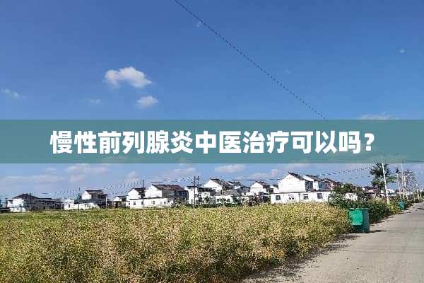 慢性前列腺炎中医治疗可以吗？