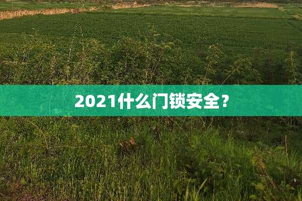 2021什么门锁安全？