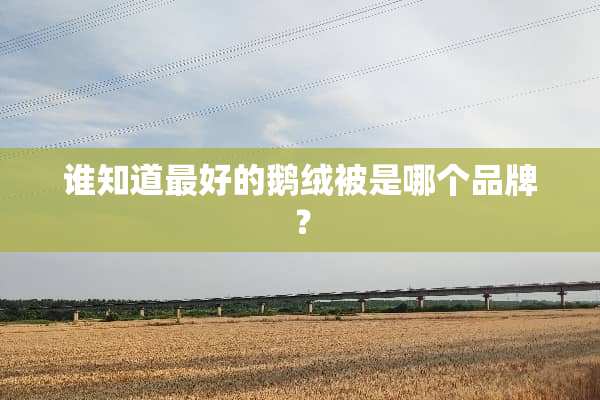 谁知道最好的鹅绒被是哪个品牌？
