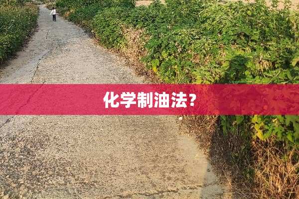 化学制油法？