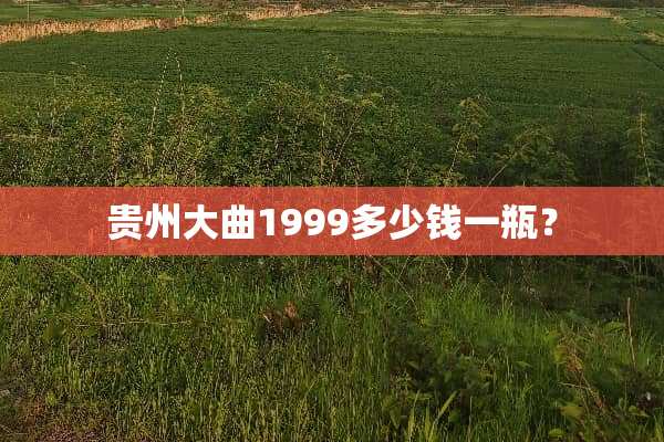 贵州大曲1999多少钱一瓶？