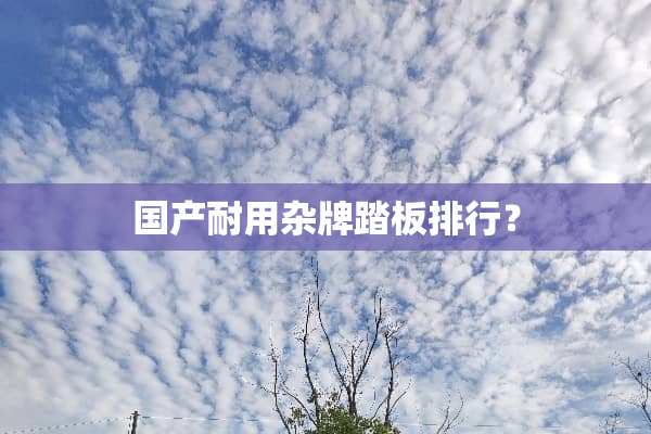 国产耐用杂牌踏板排行？