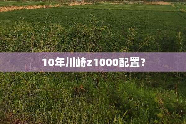 10年川崎z1000配置？