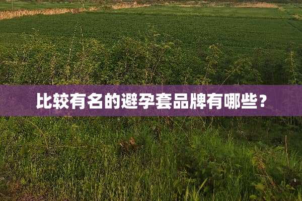比较有名的***品牌有哪些？