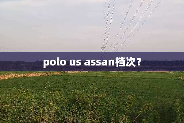 polo us assan档次？