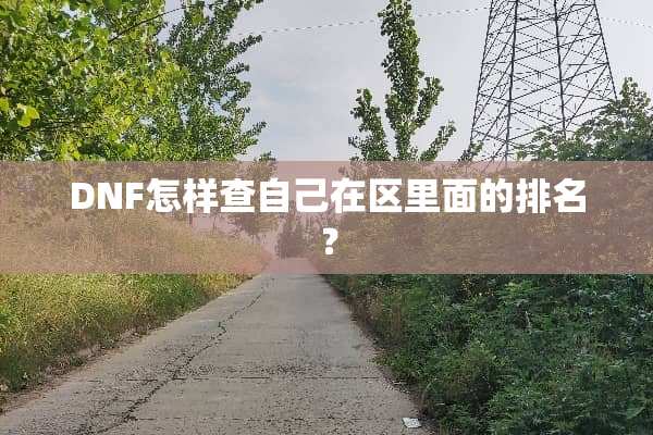 DNF怎样查自己在区里面的排名？