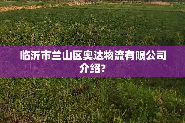 临沂市兰山区奥达物流有限公司介绍？