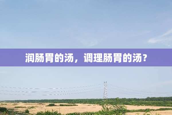 润肠胃的汤，调理肠胃的汤？