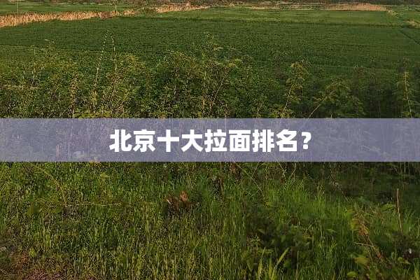 北京十大拉面排名？