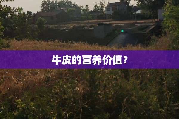 牛皮的营养价值？
