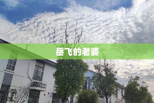 岳飞的老婆