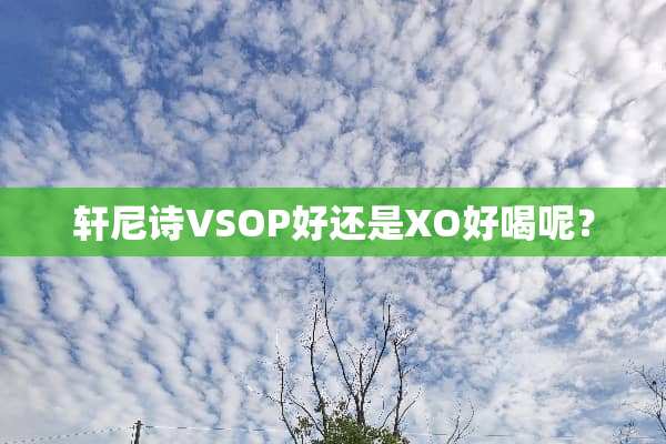 轩尼诗VSOP好还是XO好喝呢？