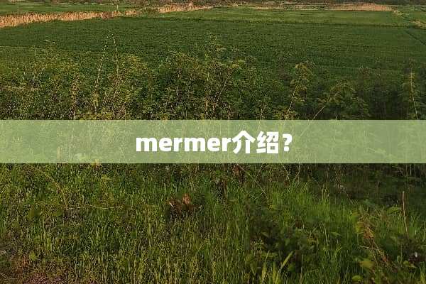 mermer介绍？