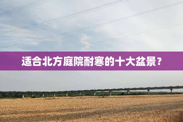 适合北方庭院耐寒的十大盆景？
