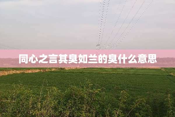 同心之言其臭如兰的臭什么意思