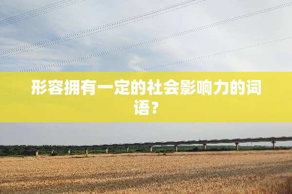 形容拥有一定的社会影响力的词语？