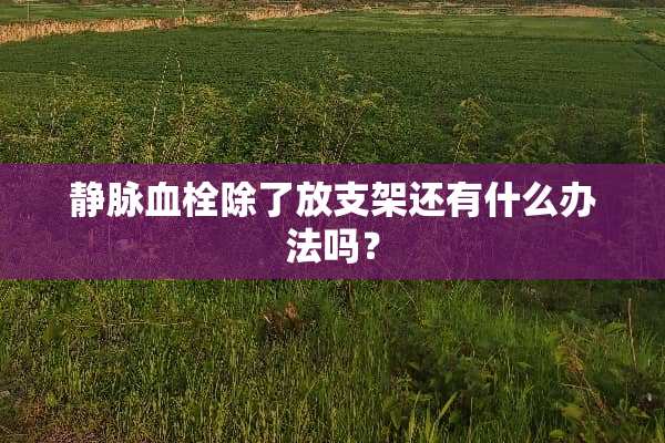 静脉血栓除了放支架还有什么办法吗？