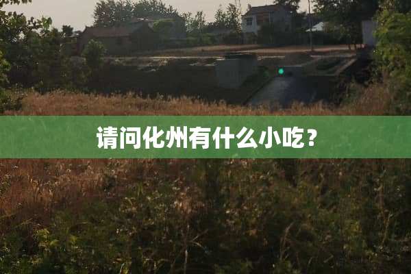 请问化州有什么小吃？