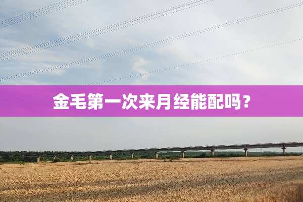 金毛第一次来月经能配吗？