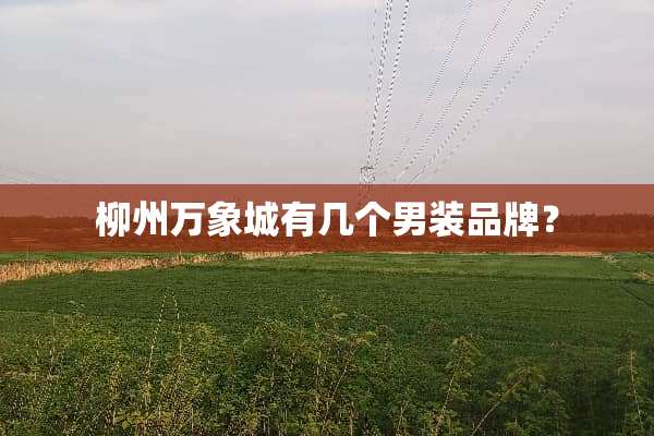 柳州万象城有几个男装品牌？