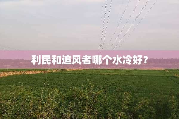 利民和追风者哪个水冷好？