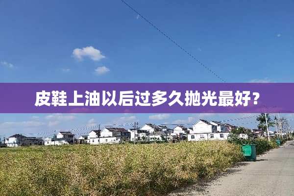 皮鞋上油以后过多久抛光最好？