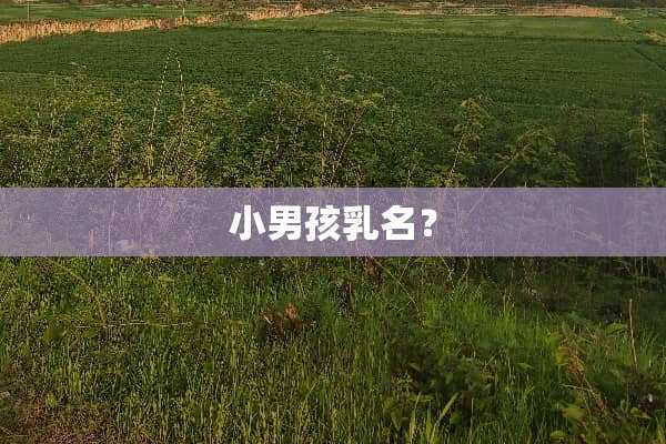 小男孩*名？