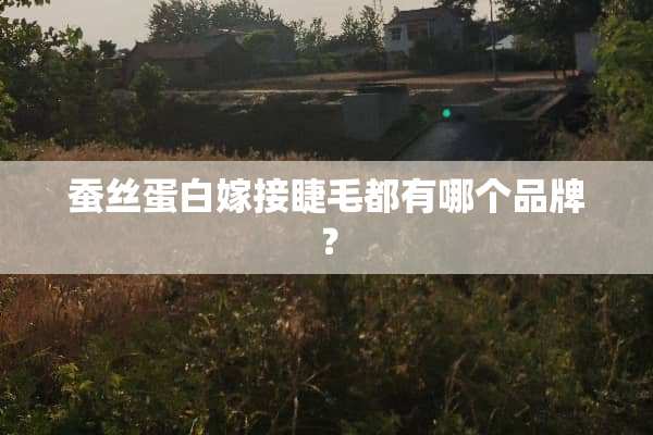 蚕丝蛋白嫁接睫毛都有哪个品牌？