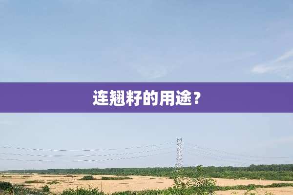 连翘籽的用途？