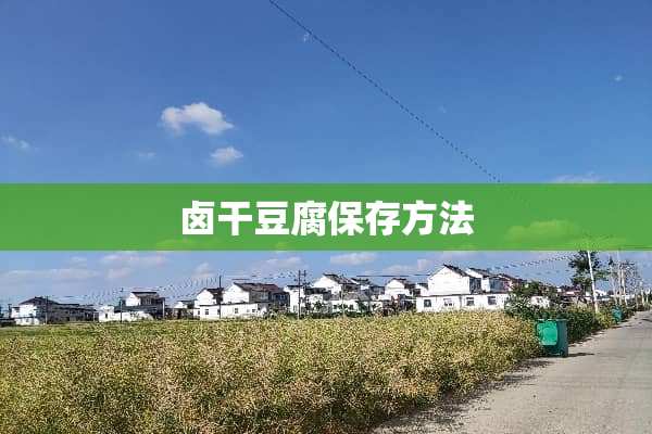 卤干豆腐保存方法