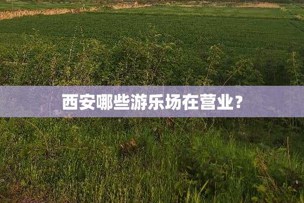 西安哪些游乐场在营业？