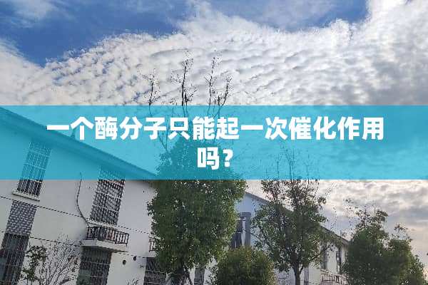一个酶分子只能起一次催化作用吗？