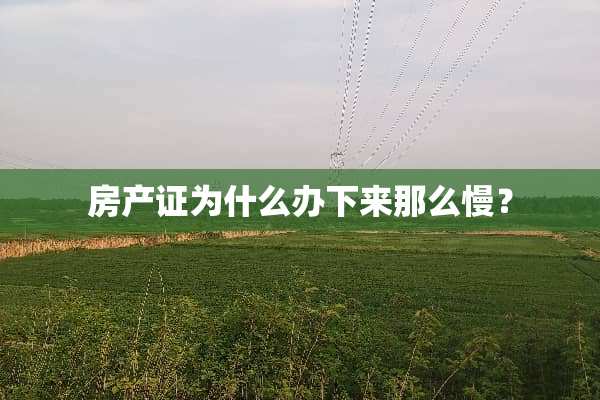 房产证为什么办下来那么慢？