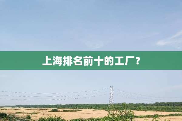上海排名前十的工厂？