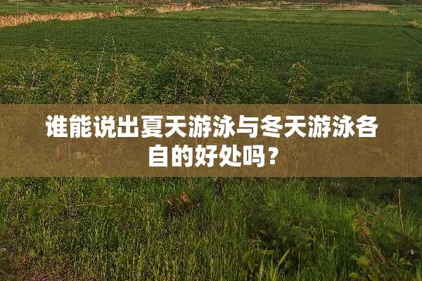 谁能说出夏天游泳与冬天游泳各自的好处吗？