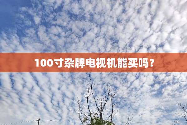 100寸杂牌电视机能买吗？