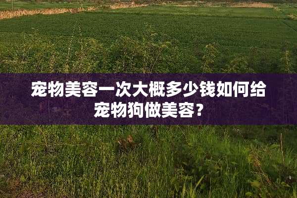 宠物美容一次大概多少钱如何给宠物狗做美容？