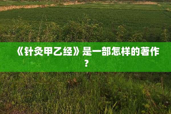 《针灸甲乙经》是一部怎样的著作？