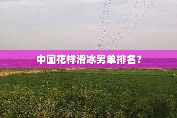 中国花样滑冰男单排名？