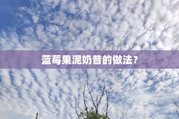 蓝莓果泥奶昔的做法？