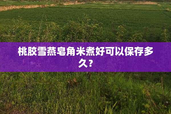 桃胶雪燕皂角米煮好可以保存多久？