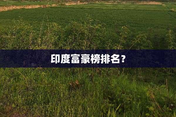 印度富豪榜排名？