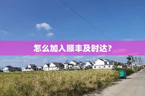 怎么加入顺丰及时达？
