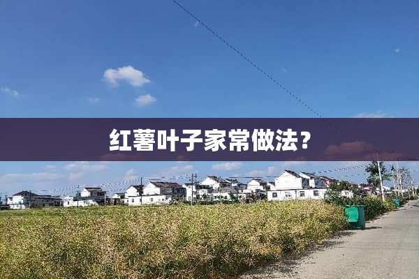 红薯叶子家常做法？
